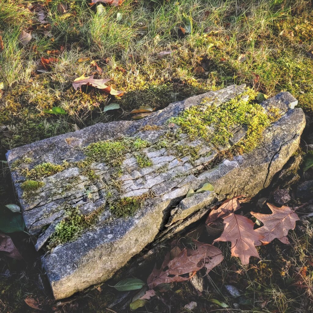 photo of elgin state hospital cemetery