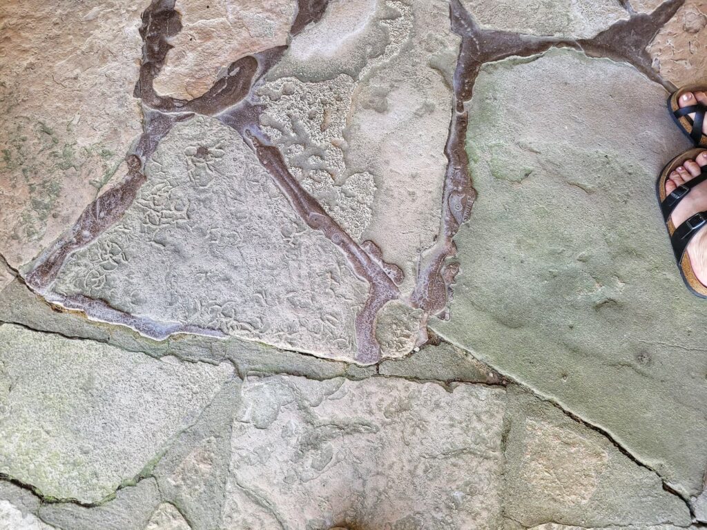 photo of frank lloyd wright's footprints