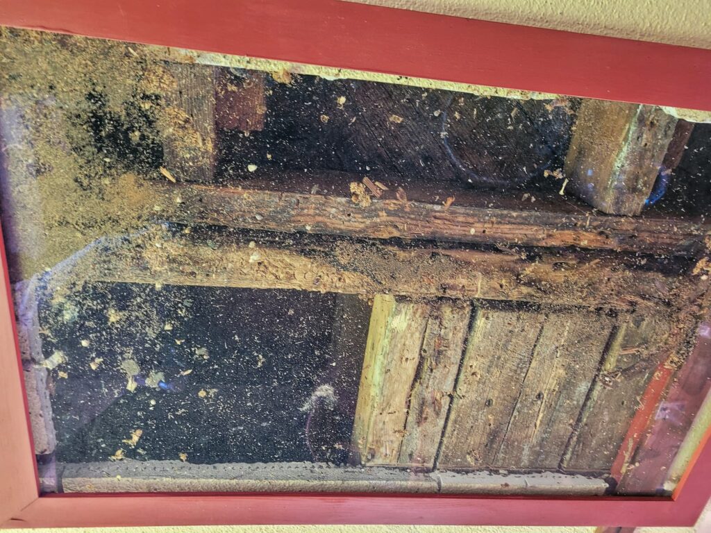 photo of cutout of taliesin ceiling