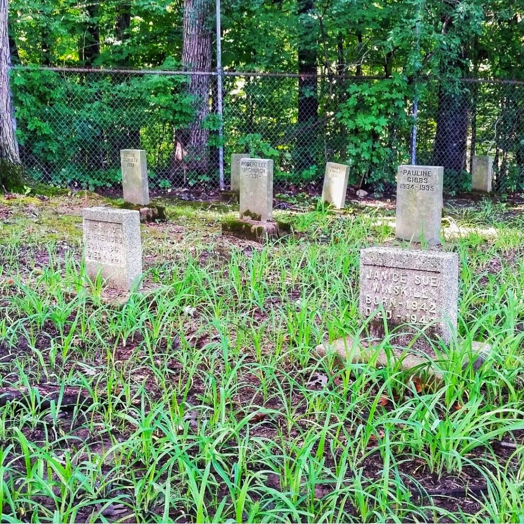 photo of illinois state training school cemetery