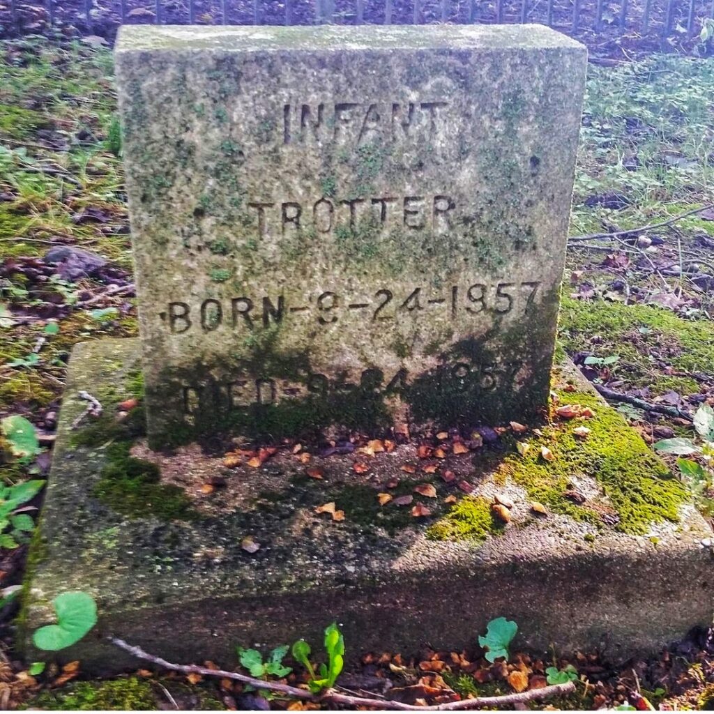 photo of illinois state training school cemetery