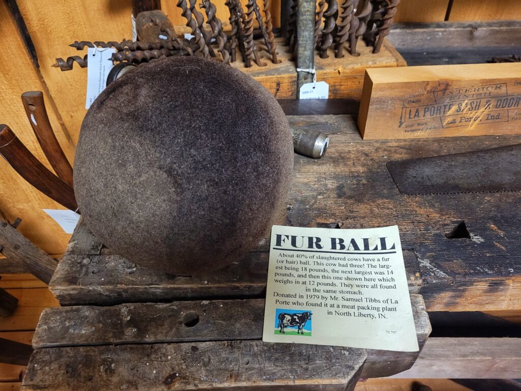 photo of fur ball from a cow's stomach