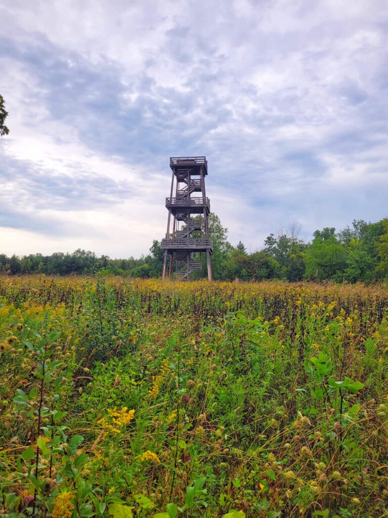 photo of observation tower at ledge view nature center