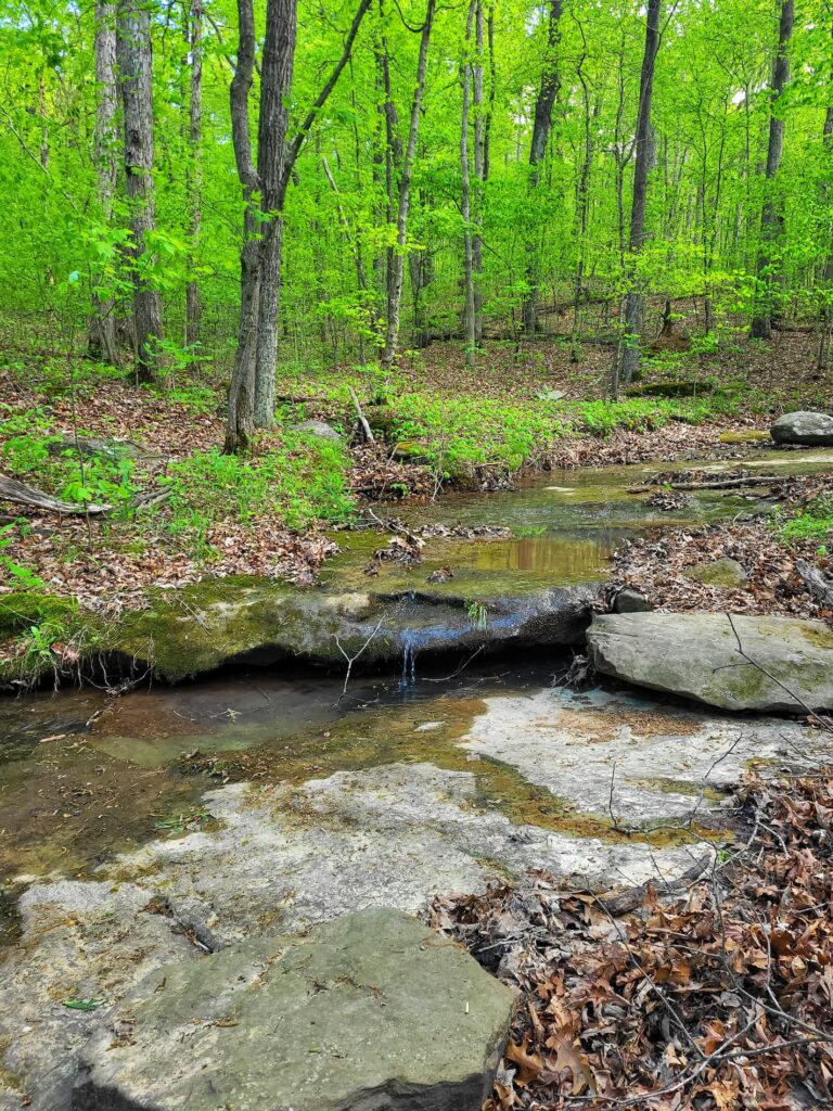 photo of rocky bluff trail at crab orchard national widlife refuge