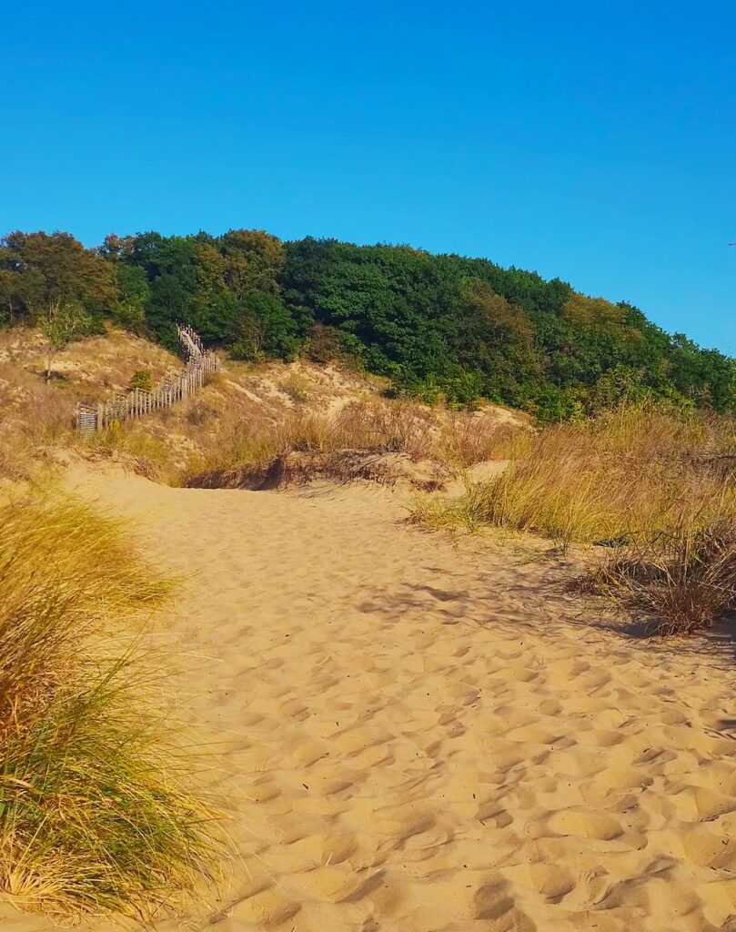 photo of indiana dunes sand dune