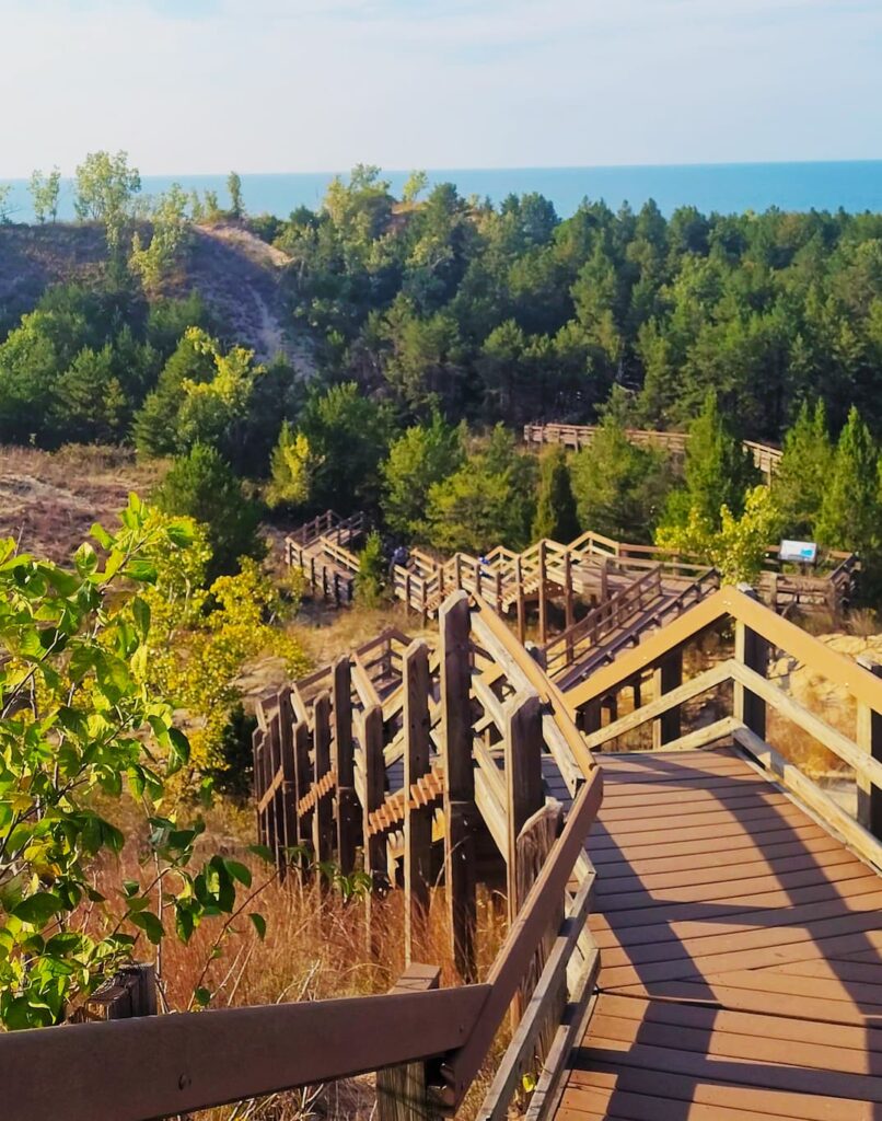 photo of boardwalk at dune succession trail