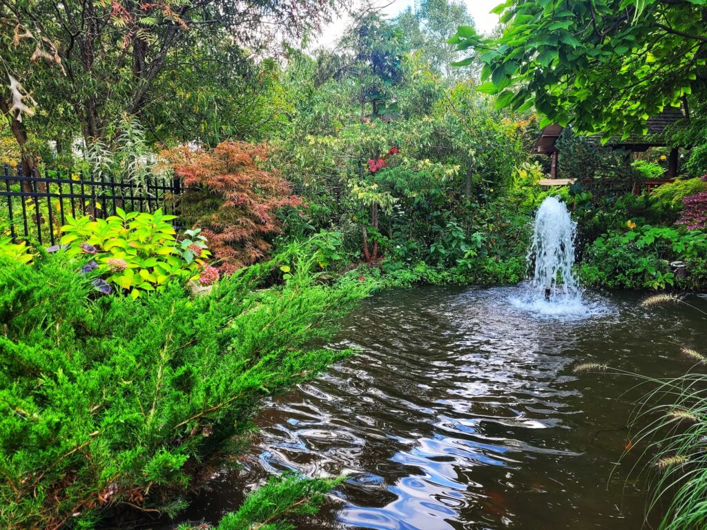 photo of ogden gardens pond