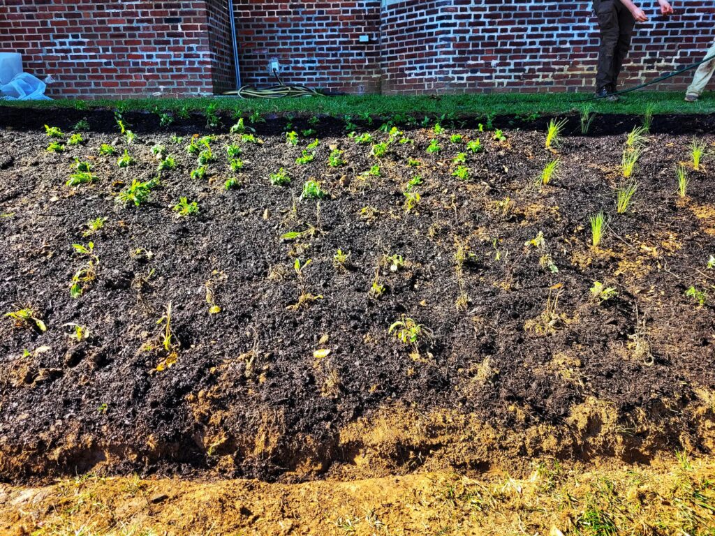 photo of planting project with wild ones