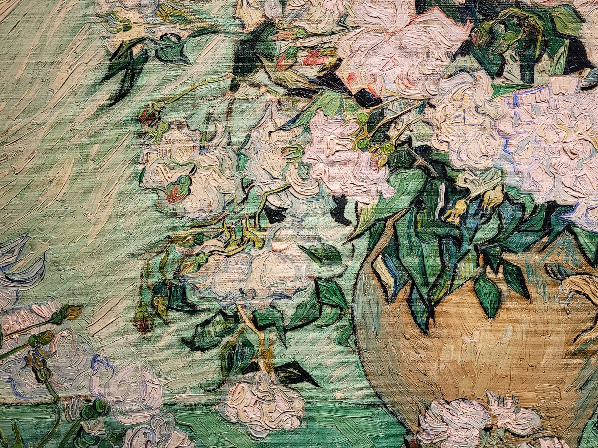 photo of van gogh's roses