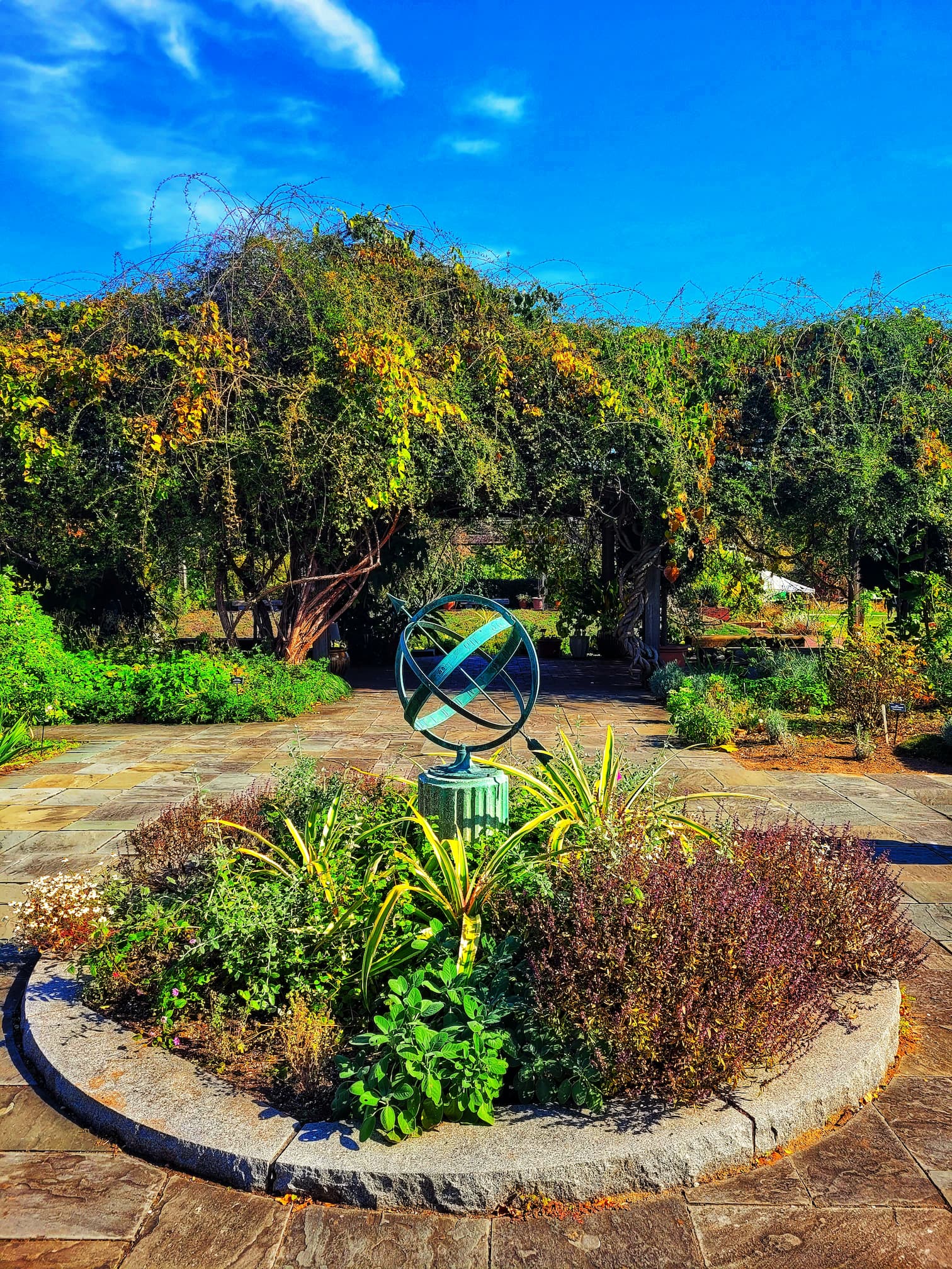 photo of national arboretum national herb garden