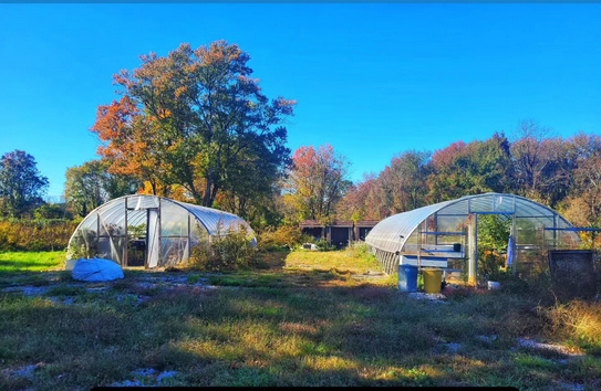 photo of usgs bee lab hoop houses