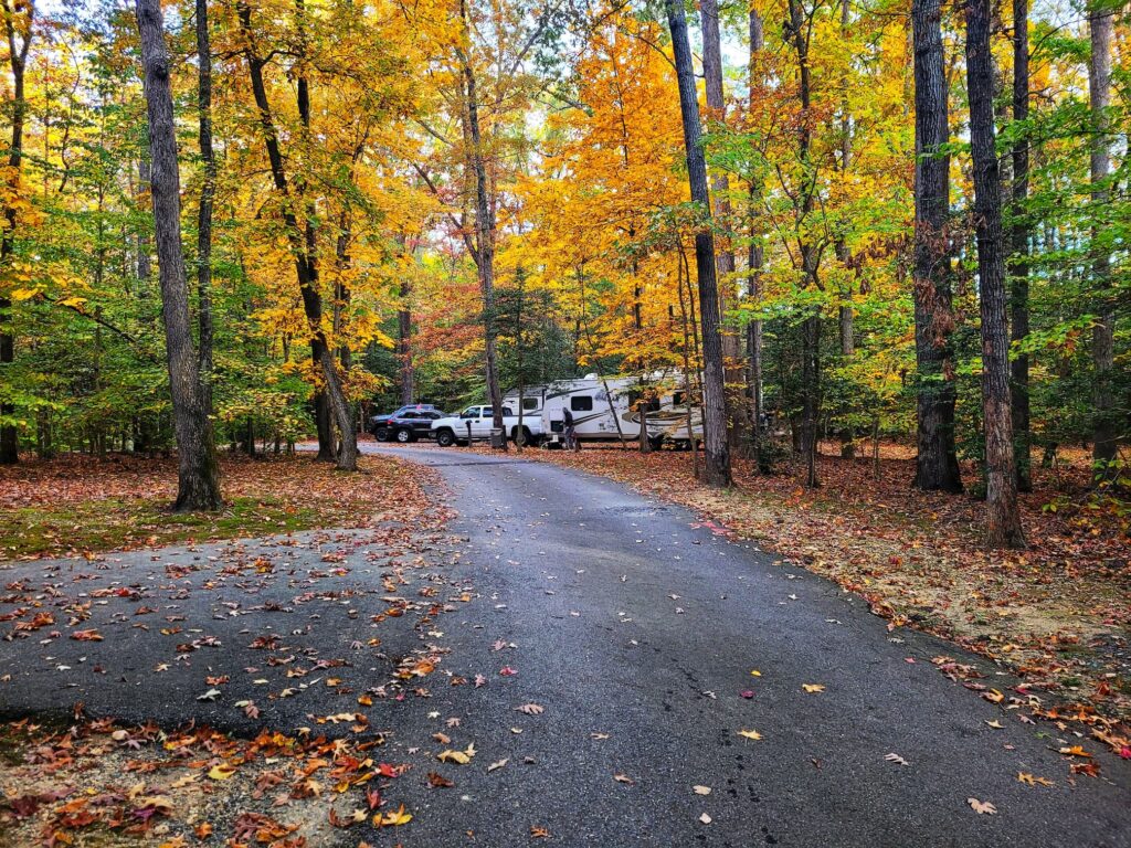 photo of cosca park campground