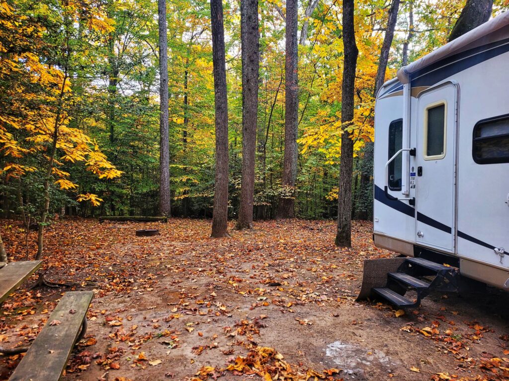 photo of cosca park campsite