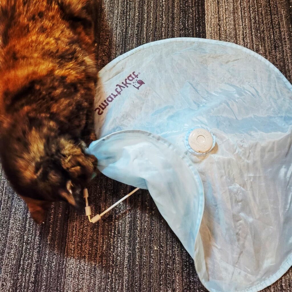 photo of interactive cat toy