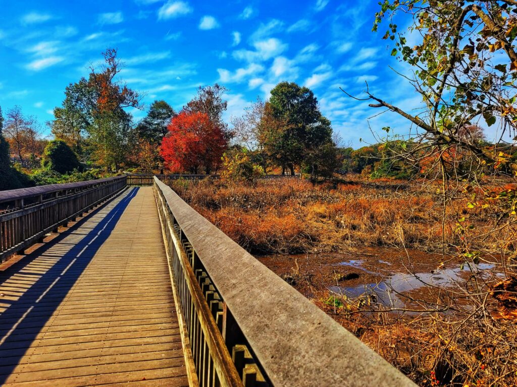 photo of kenilworth aquatic gardens walkway