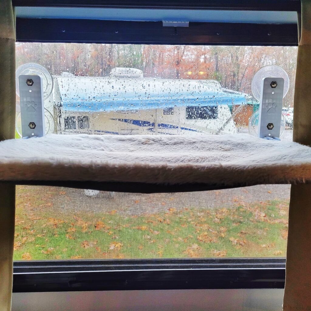 photo of cat window perch