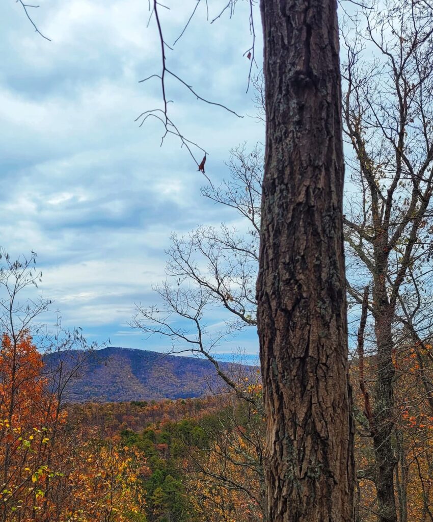 photo of view from buck mountain