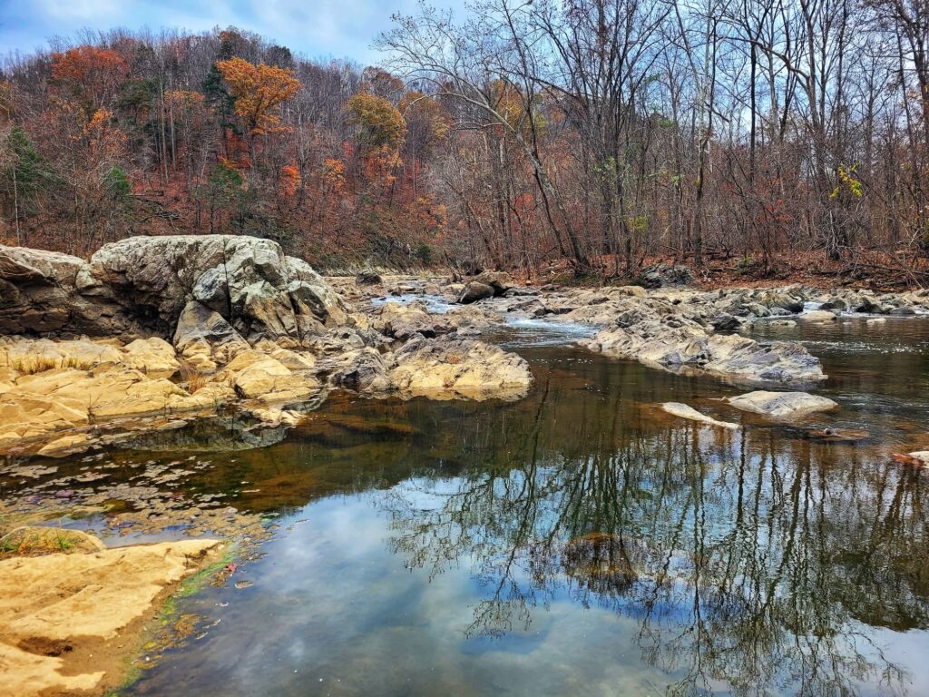 photo of roanoke river up close