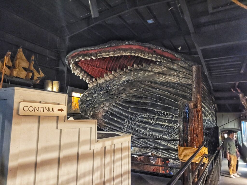 photo of house on the rock whale