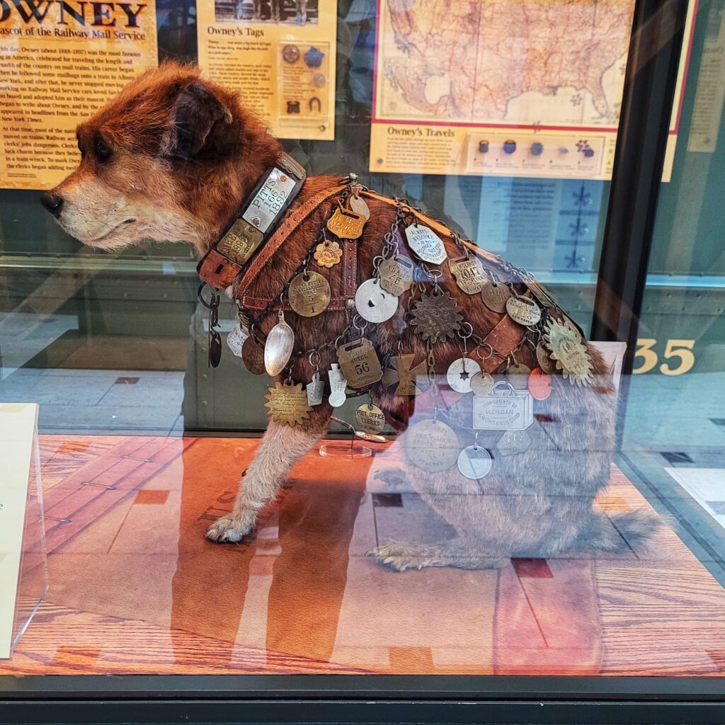 photo of owney the postal dog