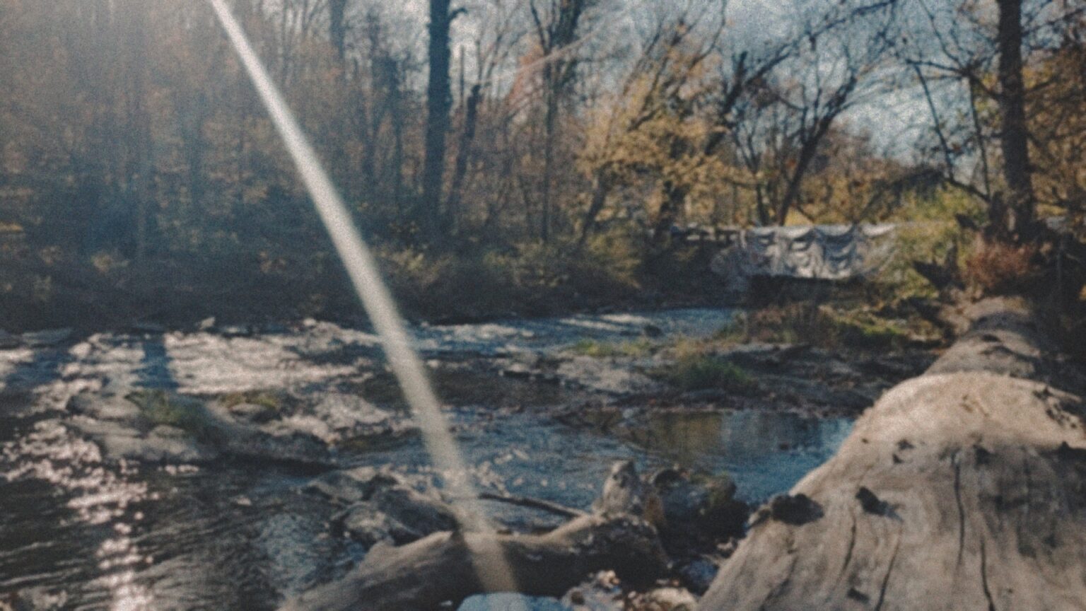 fans-of-the-blair-witch-project-need-to-visit-this-hidden-film-location