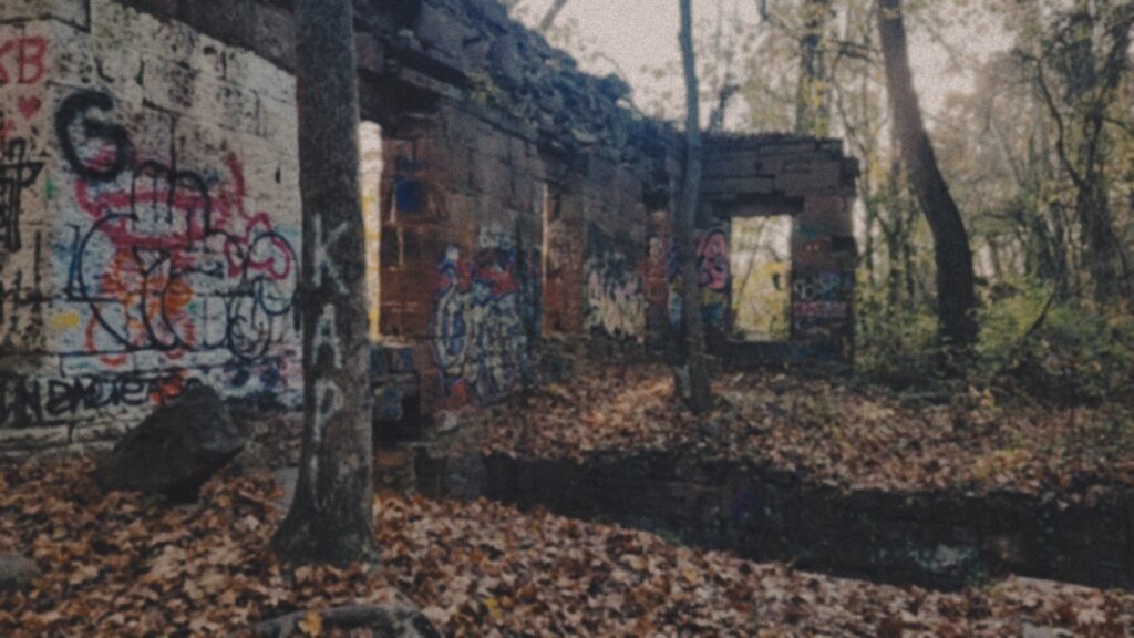 photo of seneca creek state park mills ruins