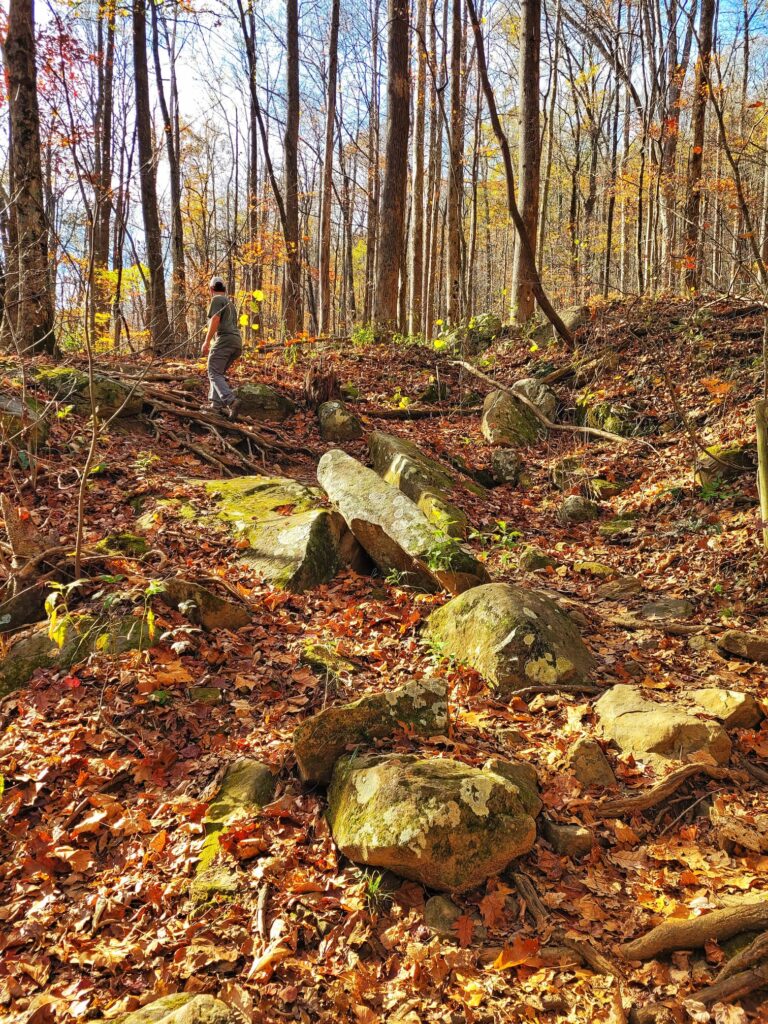 photo of josh hiking at frozen head state park