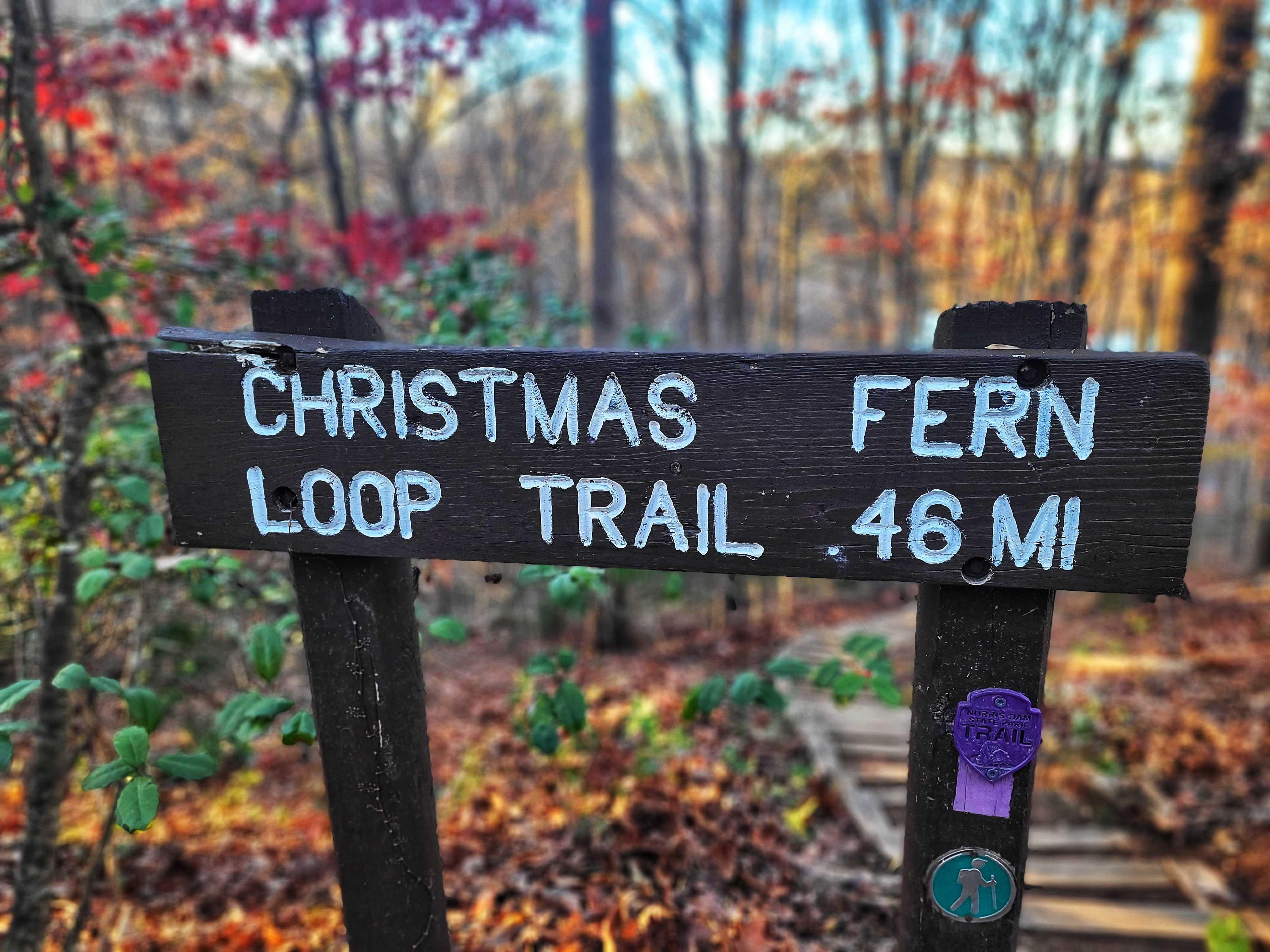 photo of christmas fern trail sign