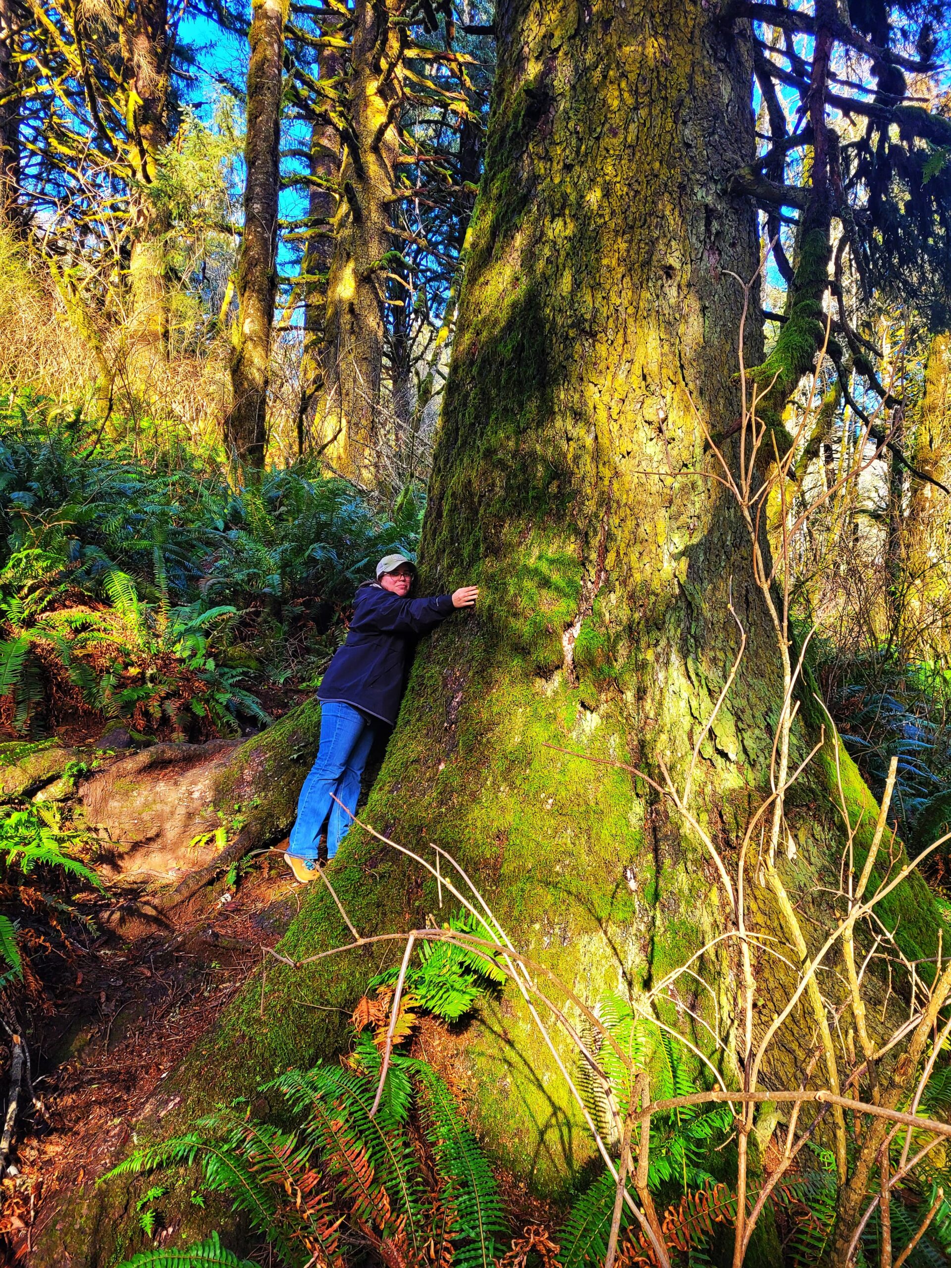 photo of jen with big sitka spruce