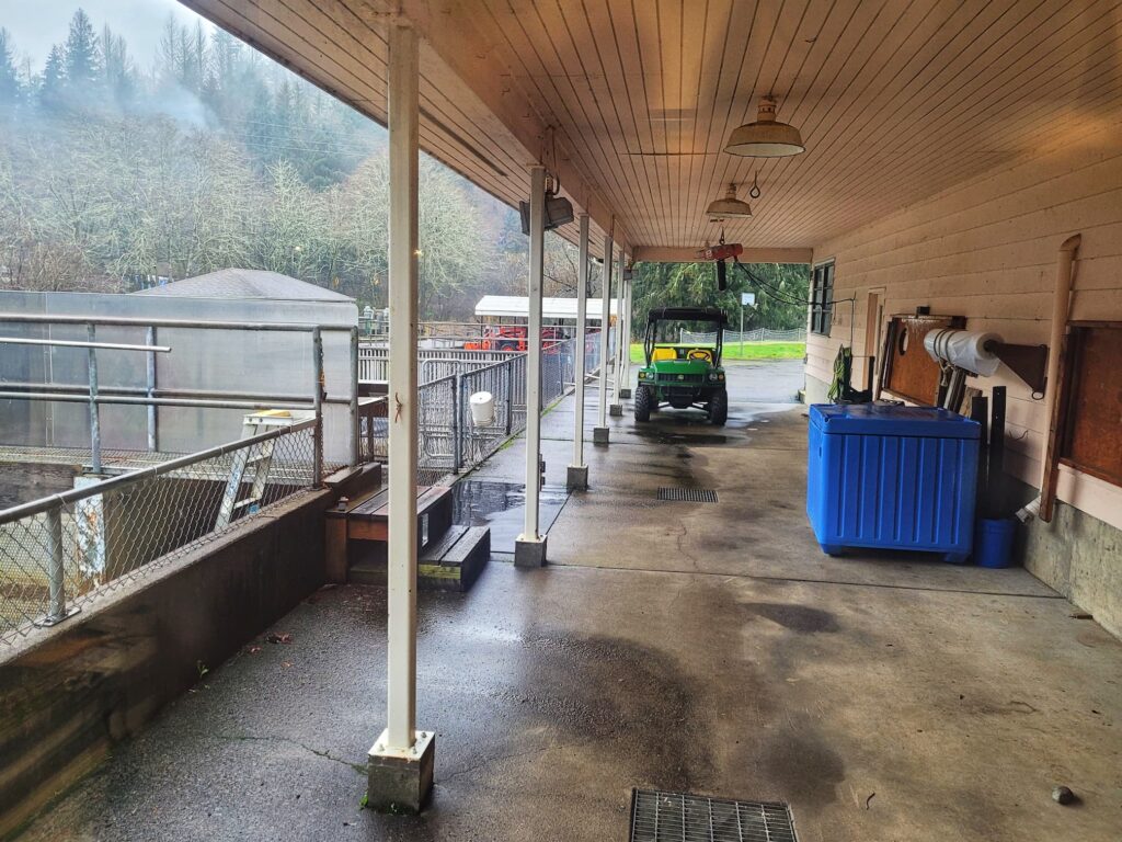 photo of salmon river hatchery