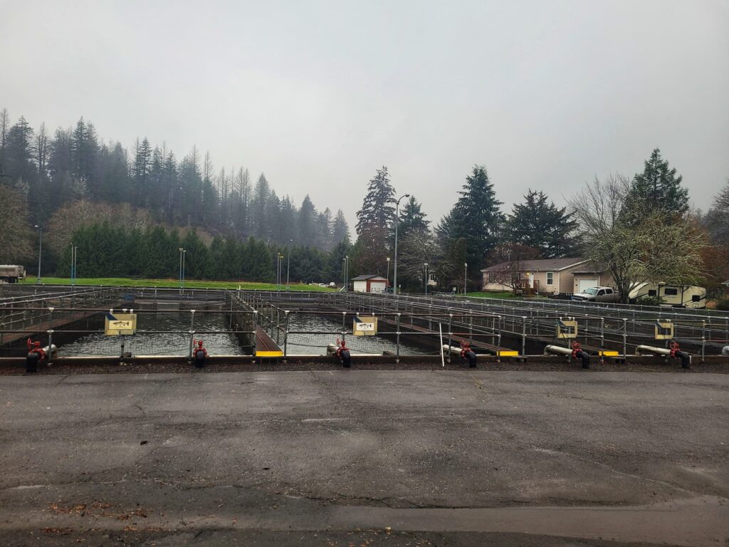 photo of salmon river hatchery raceways