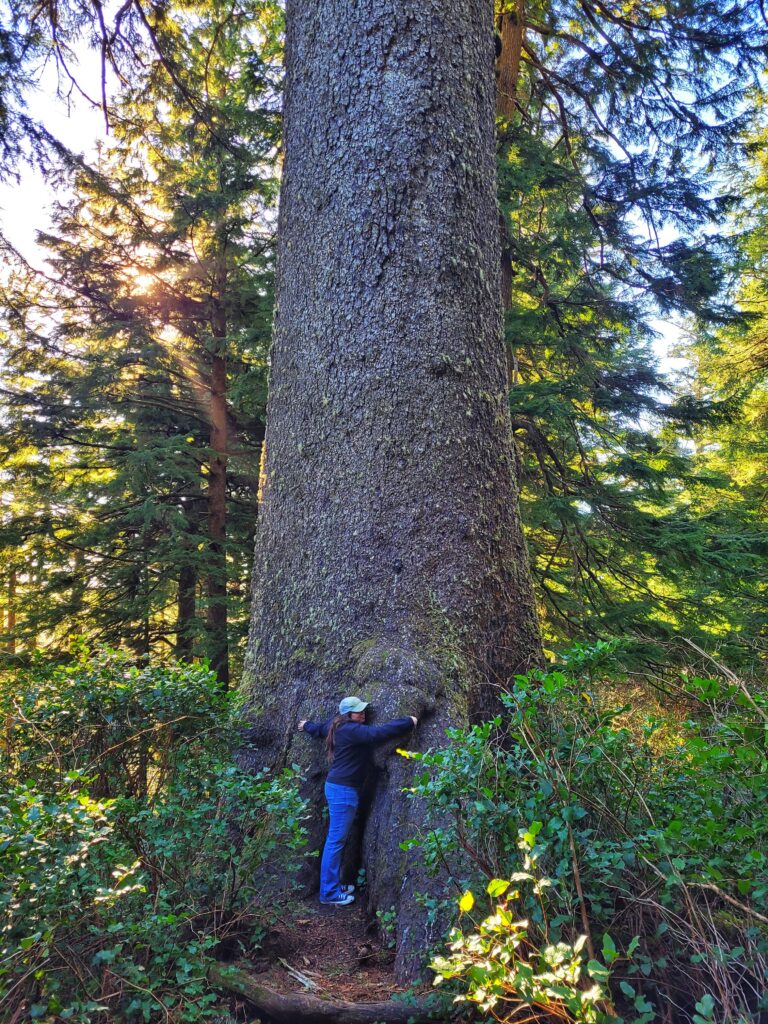 photo of jen with champion sitka spruce