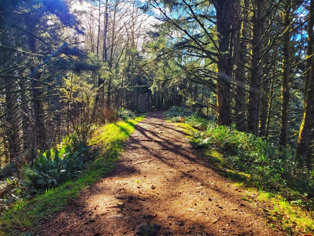 photo of the knoll trail