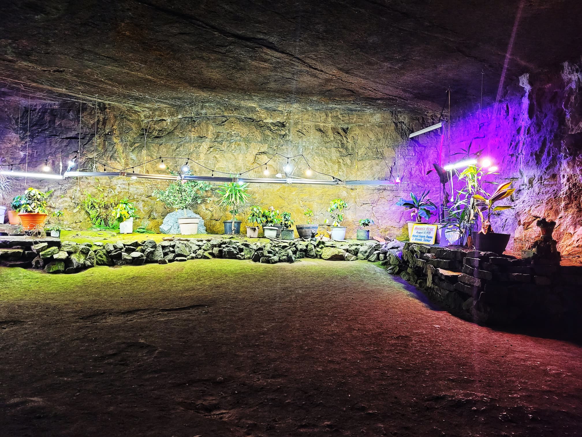 photo of bonne terre mine underground garden