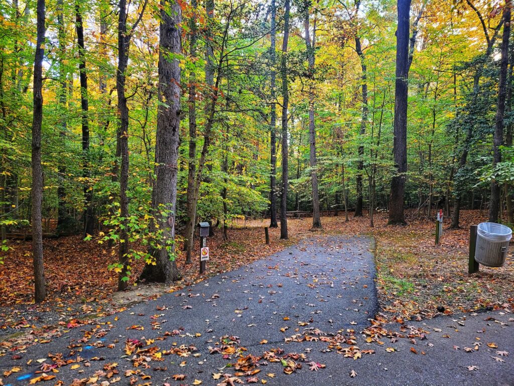 photo of cosca park back in campsite