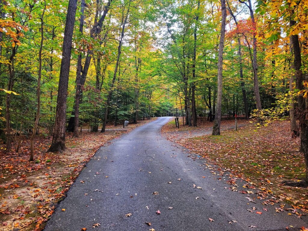 photo of louise cosca park campground