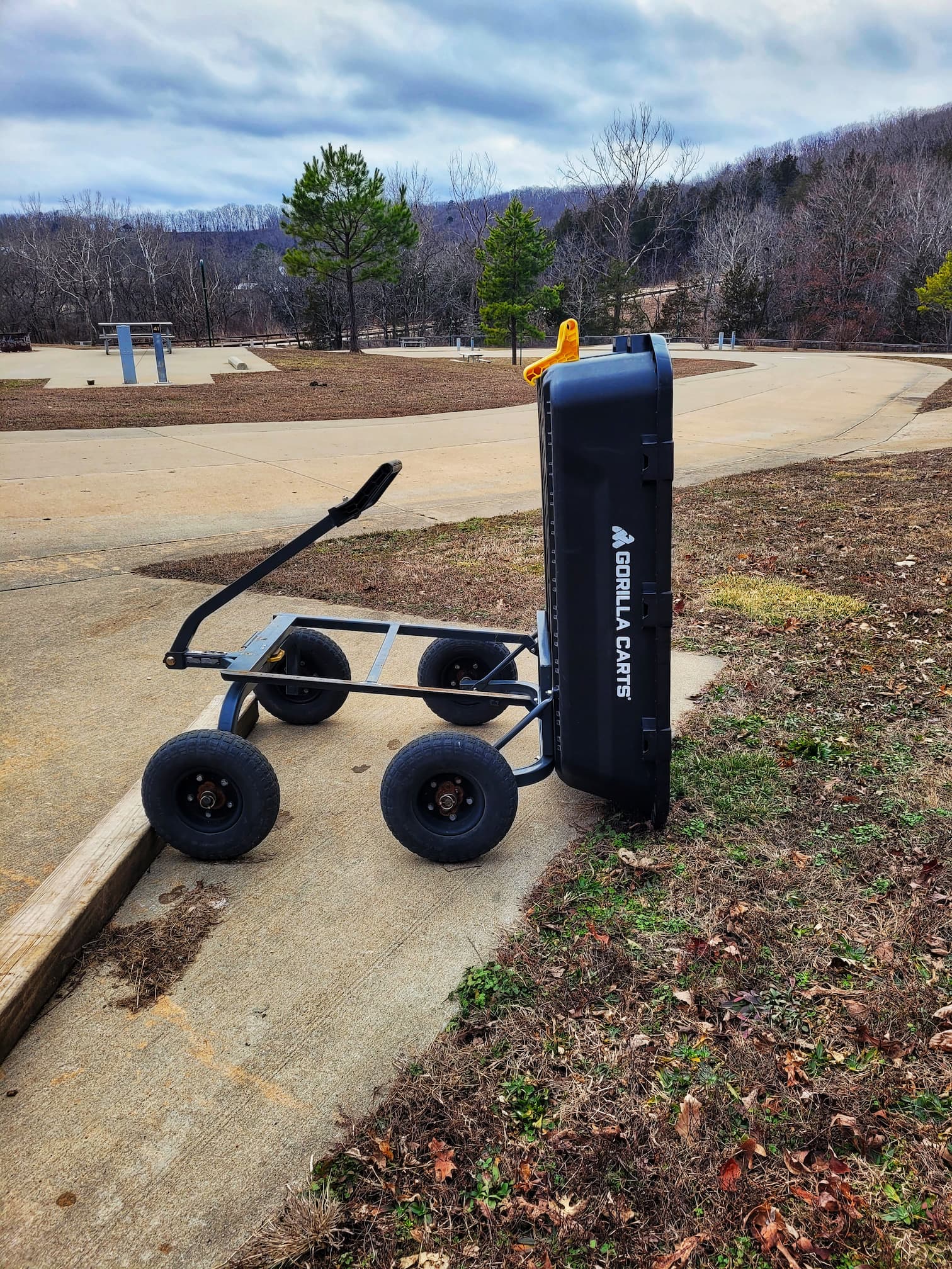 photo of gorilla cart