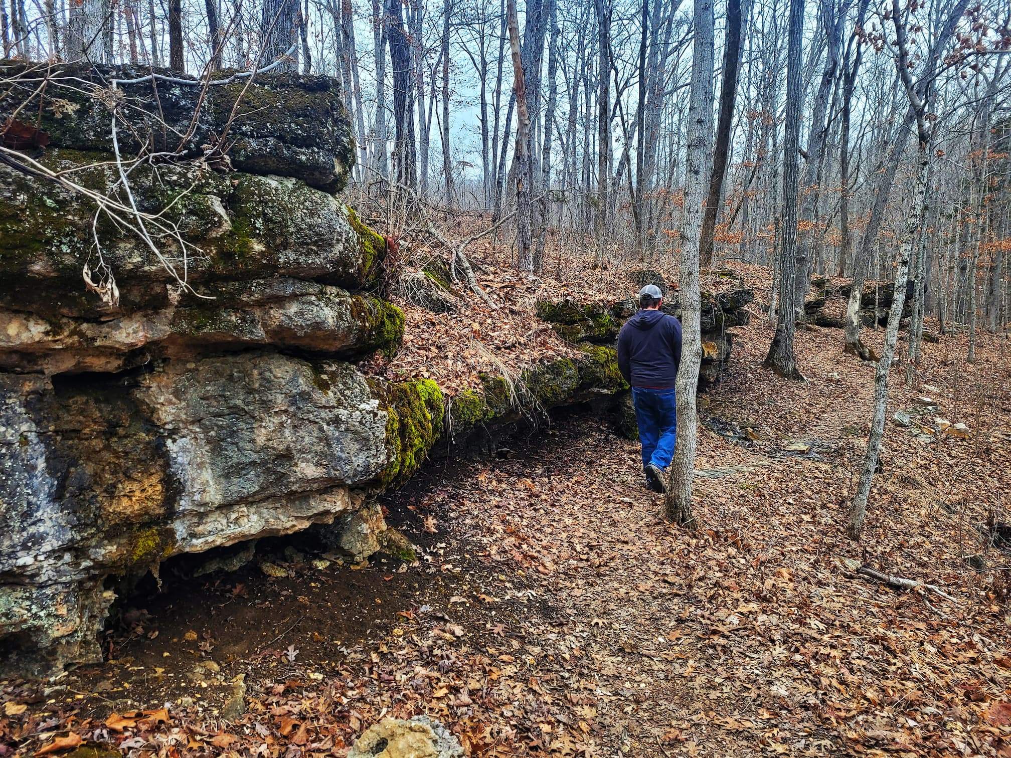 photo of josh hiking painter ridge trail