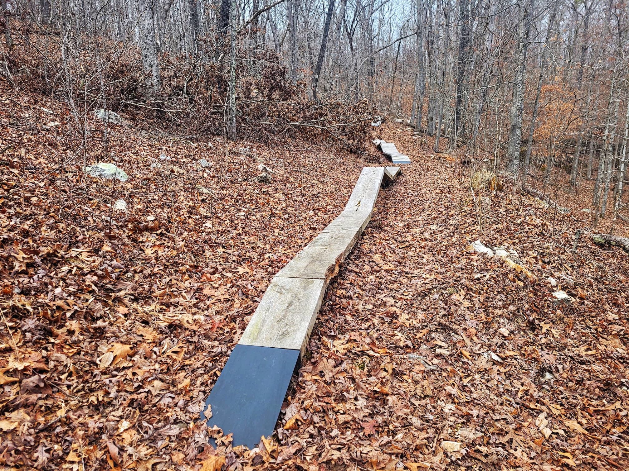 photo of painter ridge trail bike obstacle