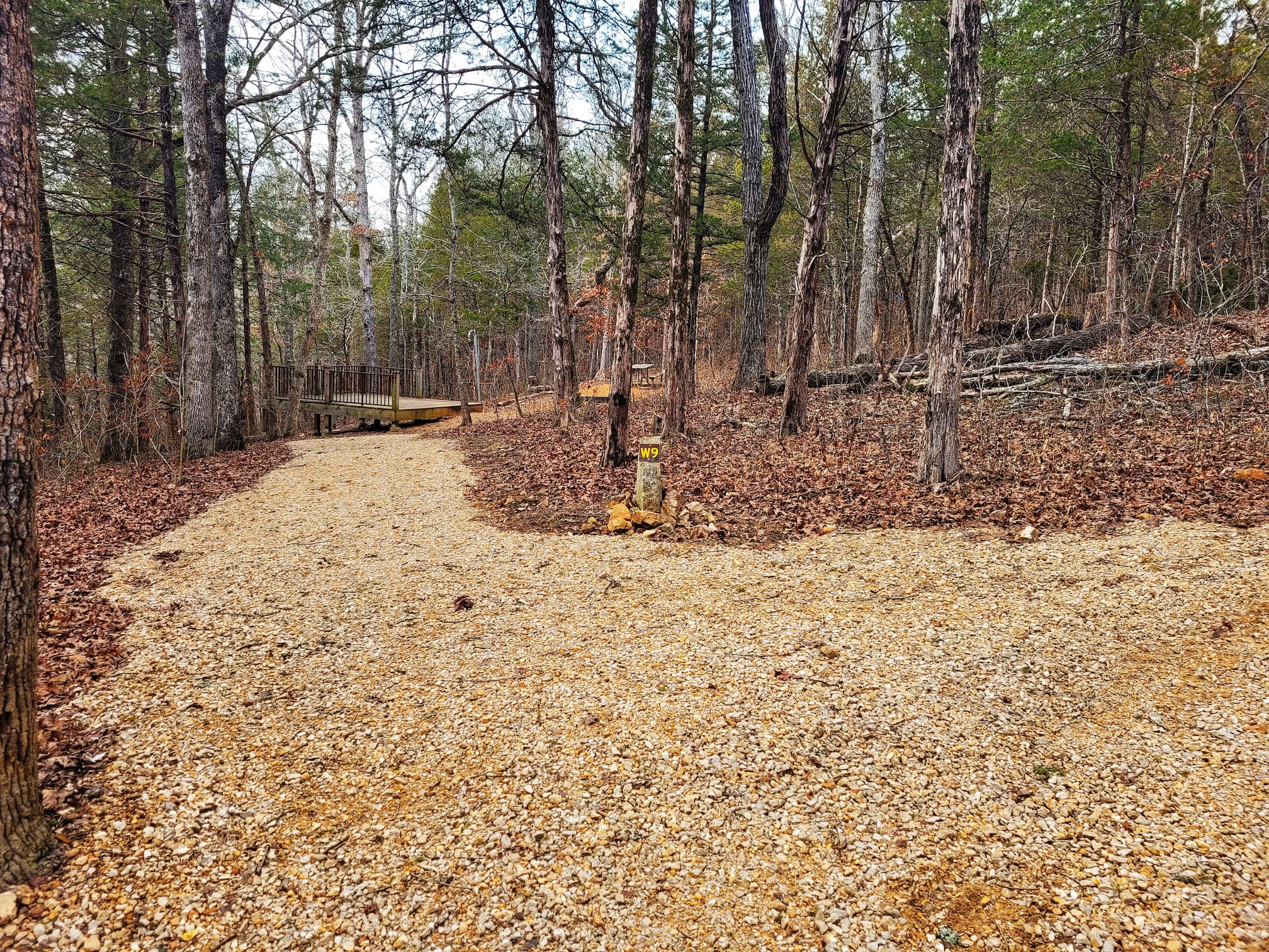 photo of walk-in campsites at echo bluff