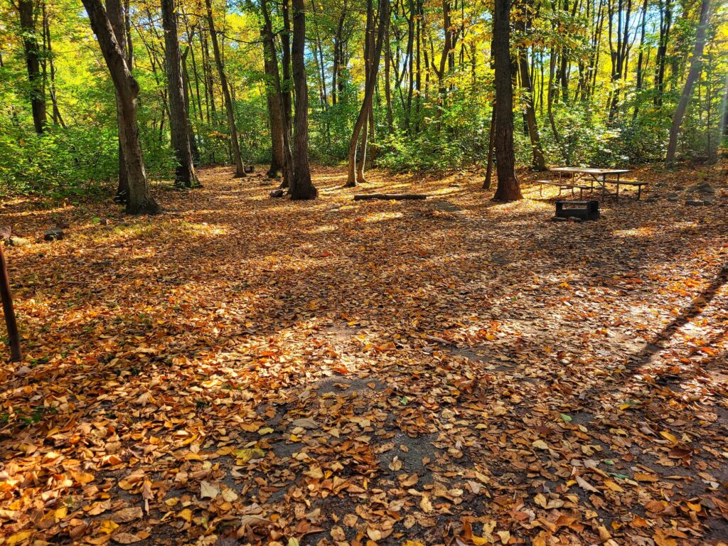 photo of empty campsite