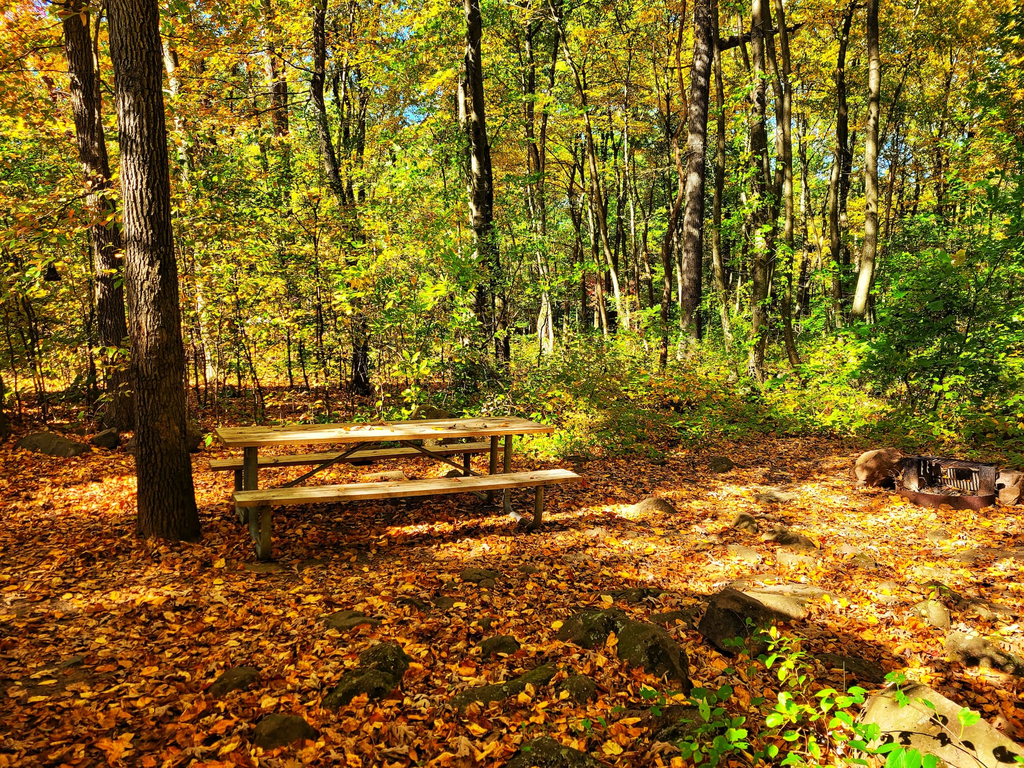 photo of french creek campsite picnic table