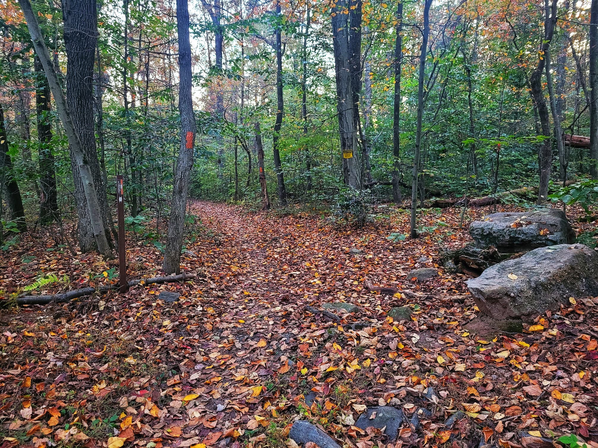 photo of french creek trail