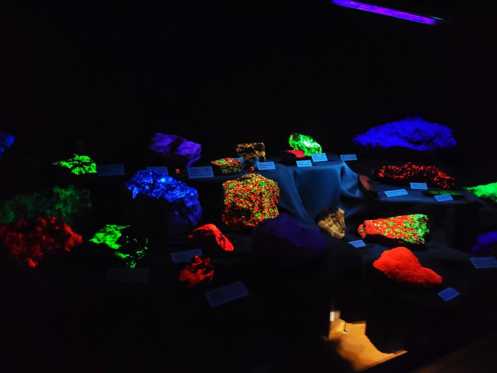 photo of display of fluorescent rocks