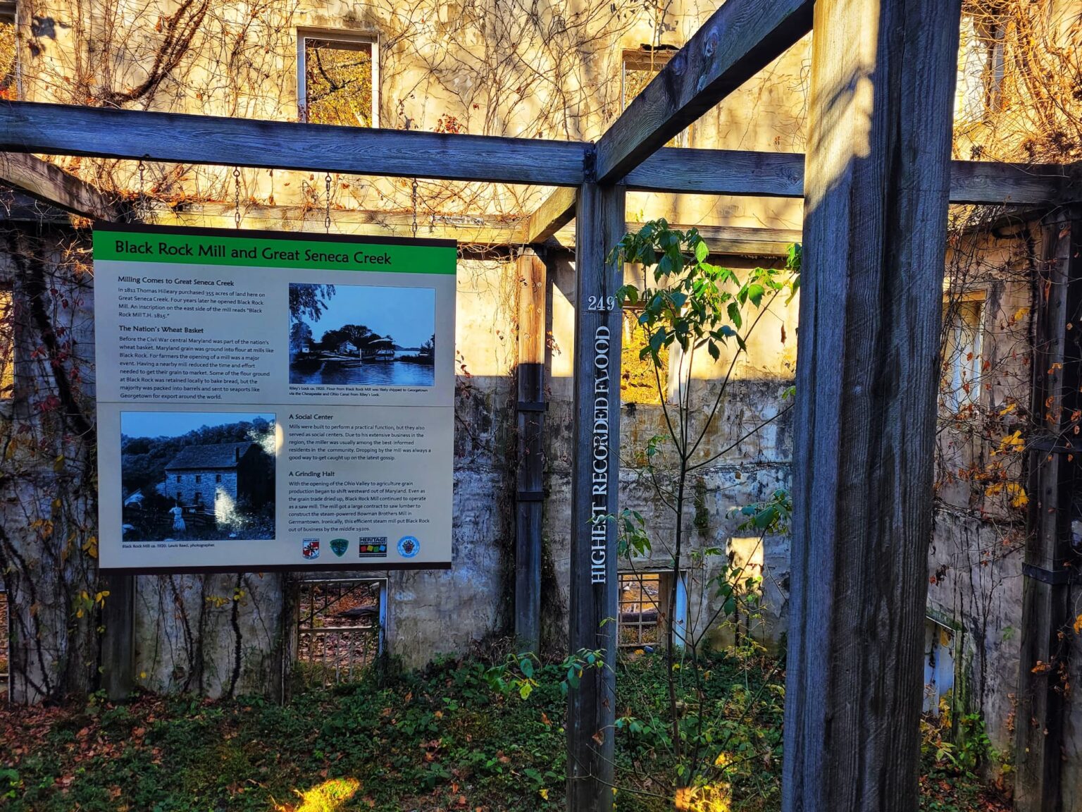 fans-of-the-blair-witch-project-need-to-visit-this-hidden-film-location