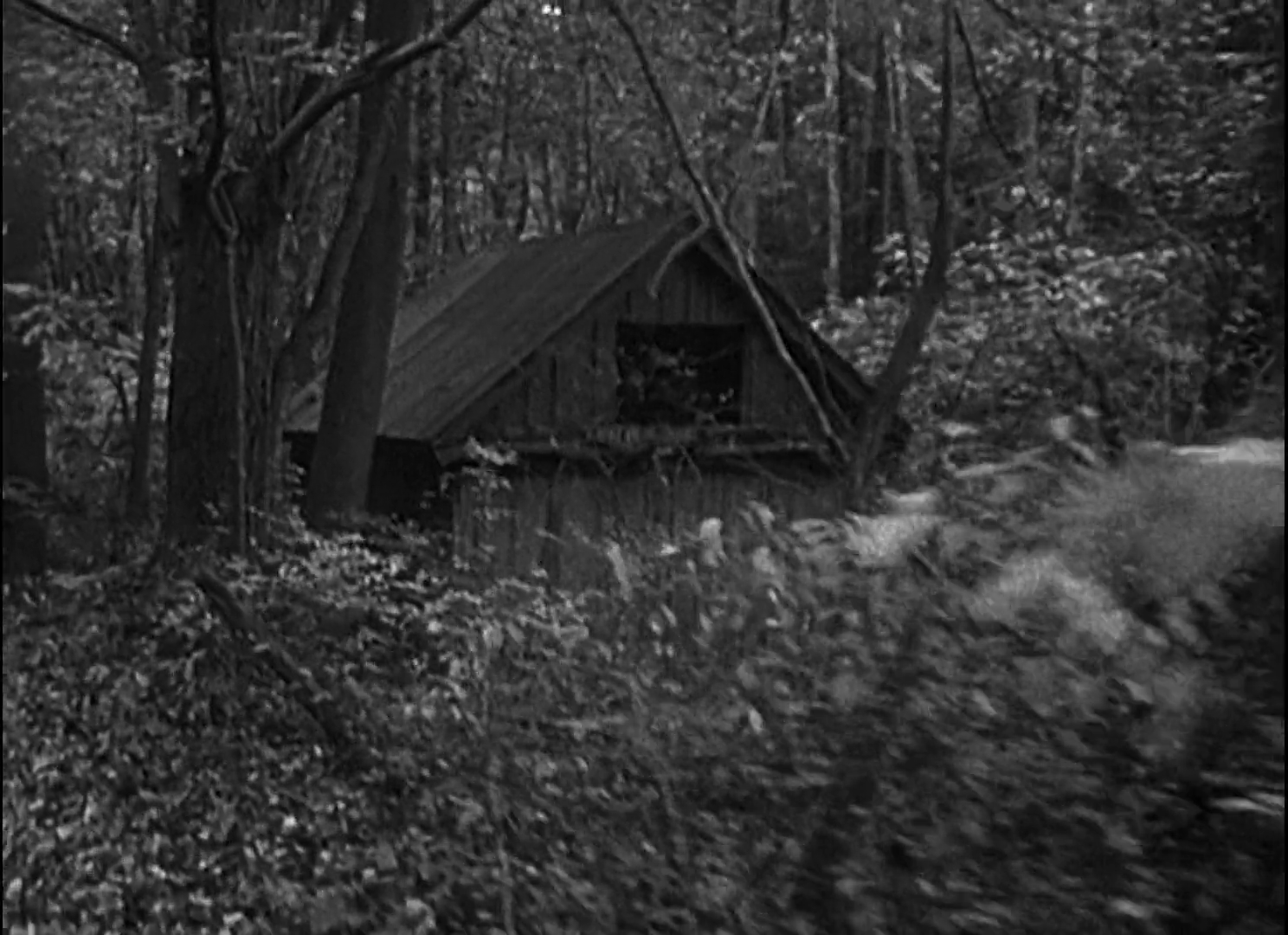 fans-of-the-blair-witch-project-need-to-visit-this-hidden-film-location