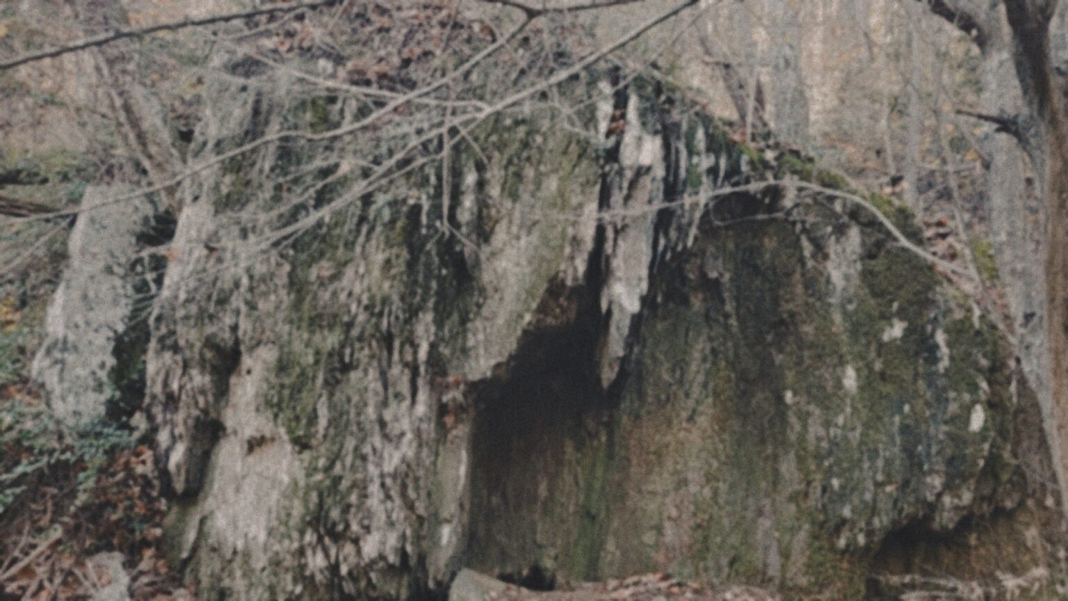 fans-of-the-blair-witch-project-need-to-visit-this-hidden-film-location