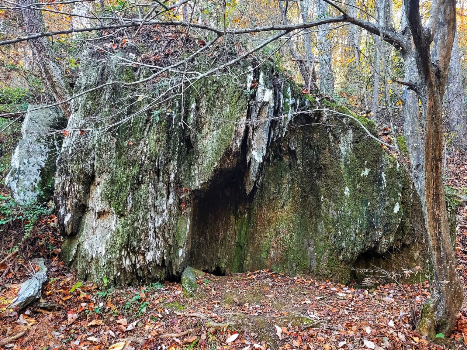 fans-of-the-blair-witch-project-need-to-visit-this-hidden-film-location