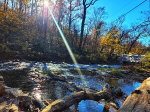 Fans of The Blair Witch Project Need to Visit This Hidden Film Location