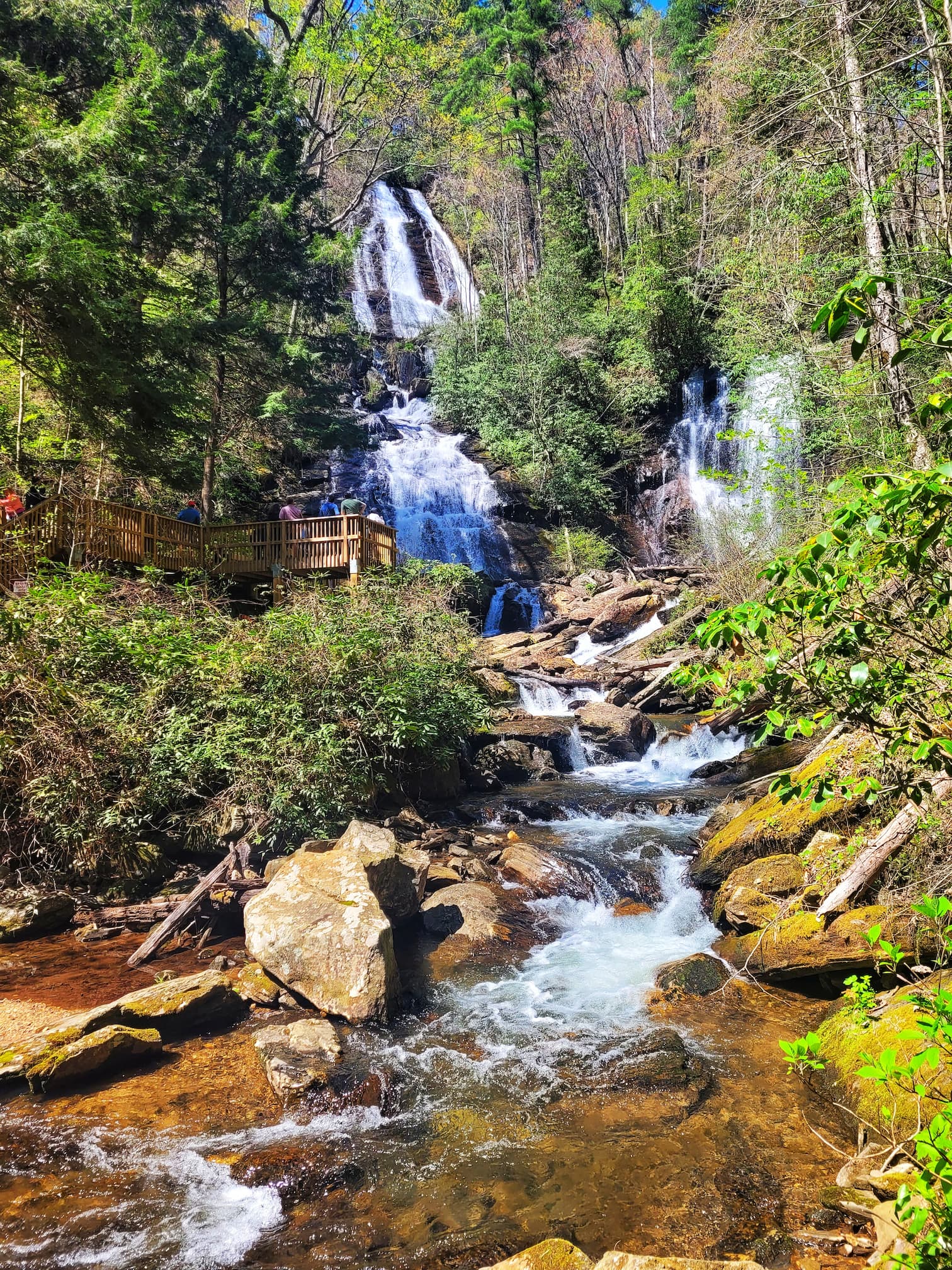 photo of anna ruby falls